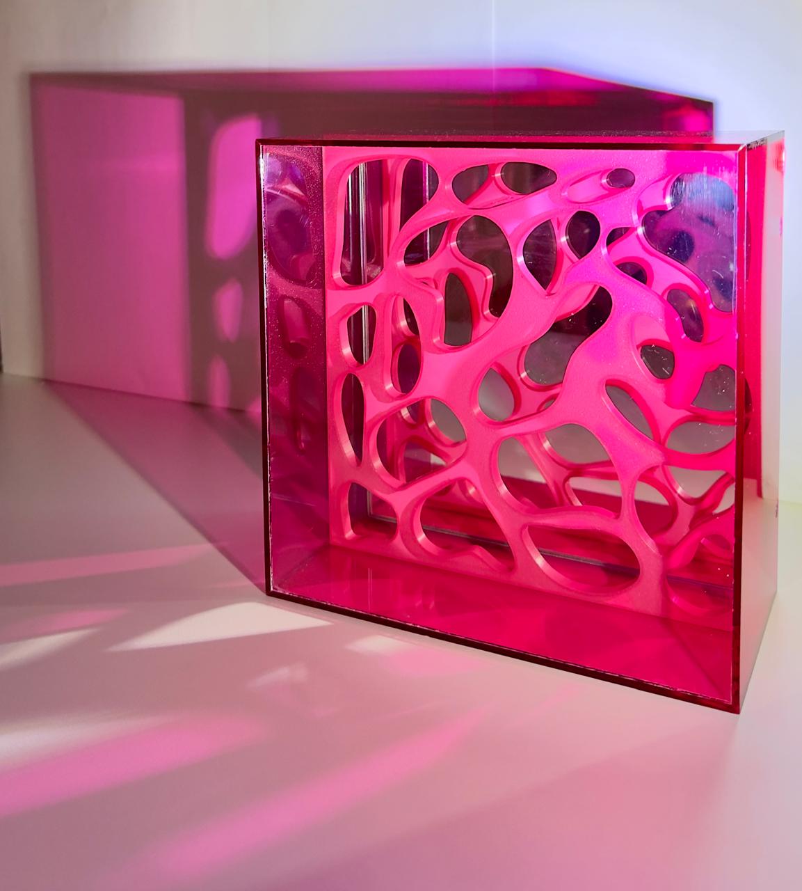 Caixa de luz rosa com formas orgânicas projetando sombras