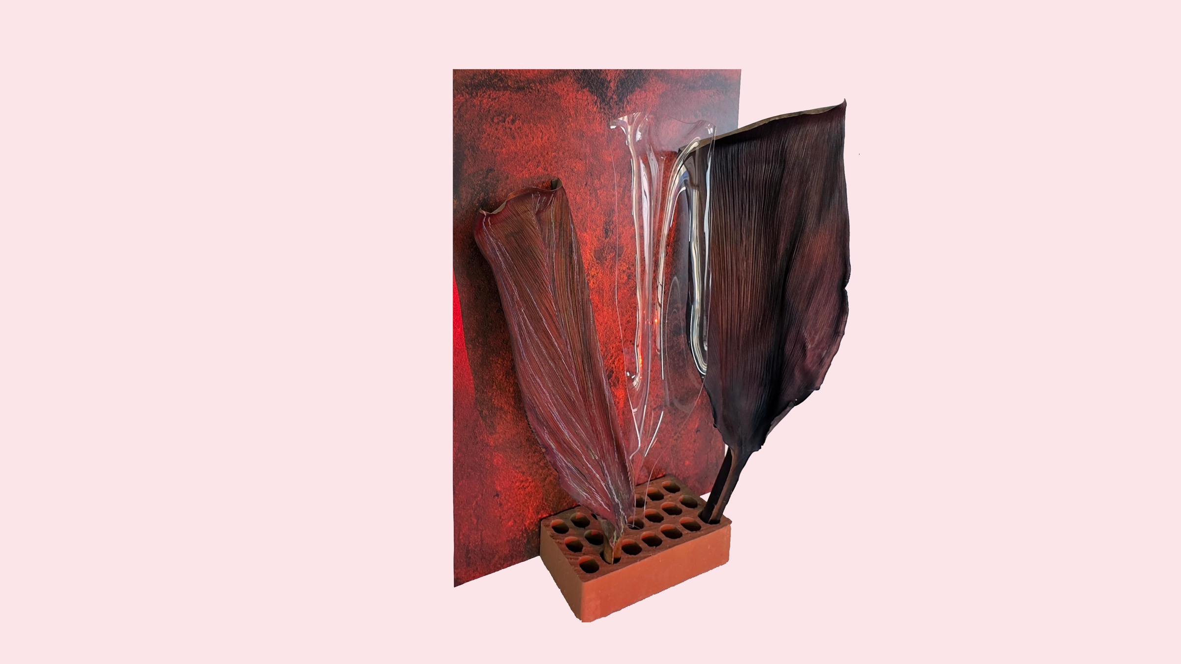 Folhas de palmeira e acrílico apoiadas em tijolo diante de um painel vermelho