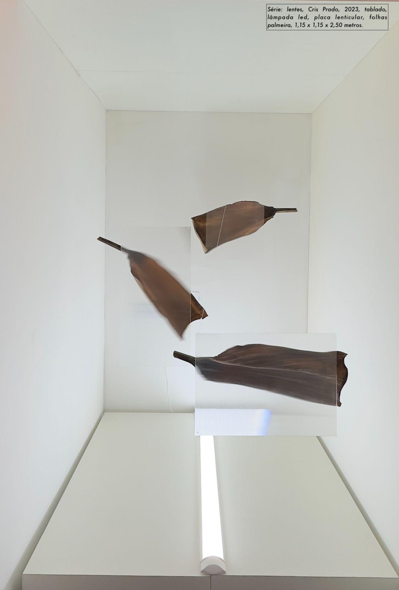 Folhas suspensas em espaço expositivo branco